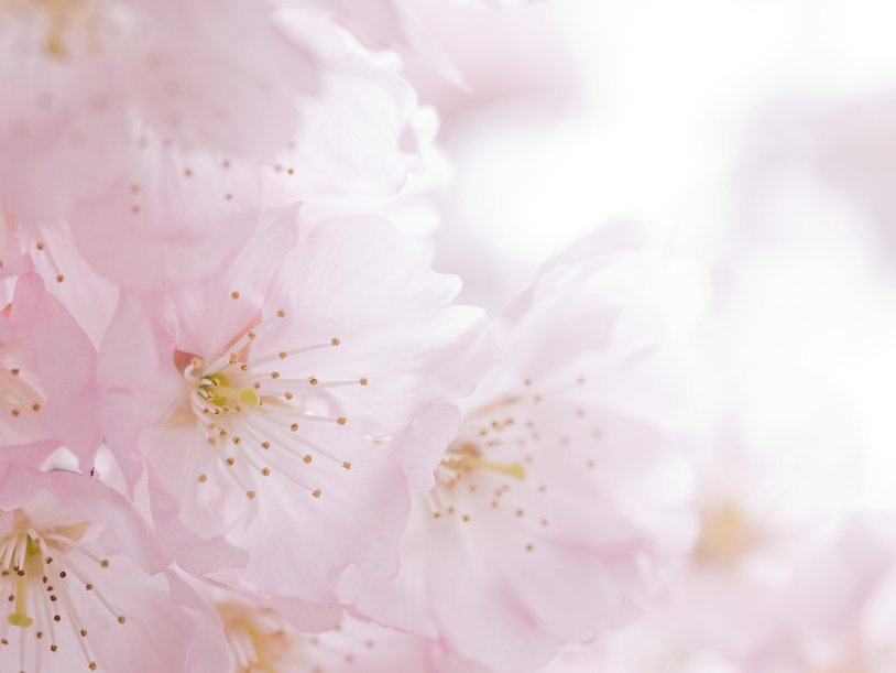 Компания ЕВРООПТ в Гамсоновском переулке