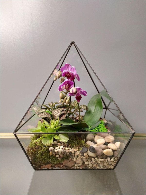 Флористический салон Дикая морковь на Ленинградском проспекте