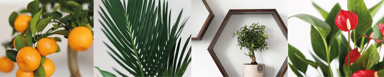 Салон цветов Gerda`s Garden