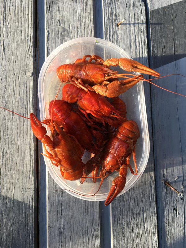 Интернет-магазин Seafoodshop на Булатниковской улице