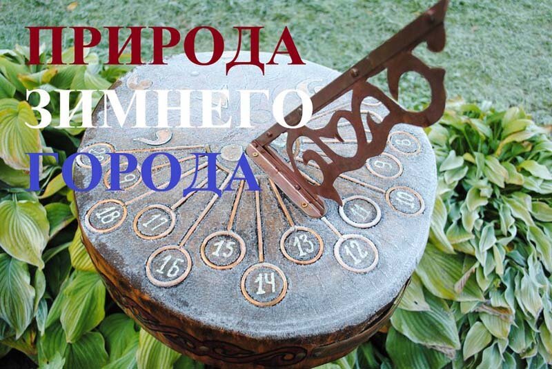 Частная средняя общеобразовательная школа Ромашка на метро Проспект Вернадского