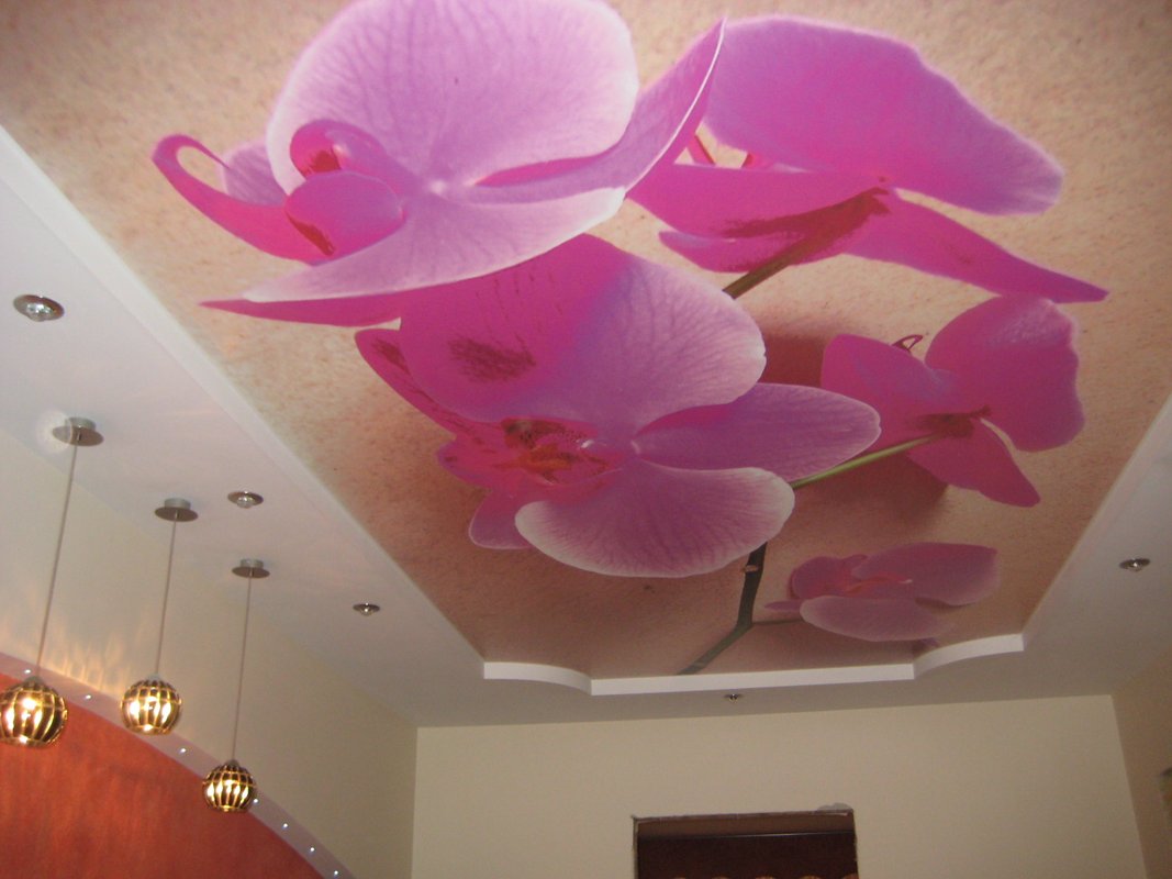 Компания DeckePro