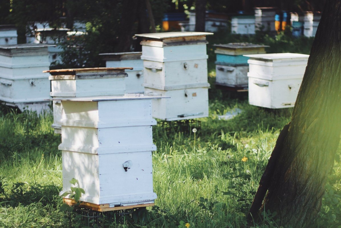 Магазин Добрый пасечник на метро Коньково