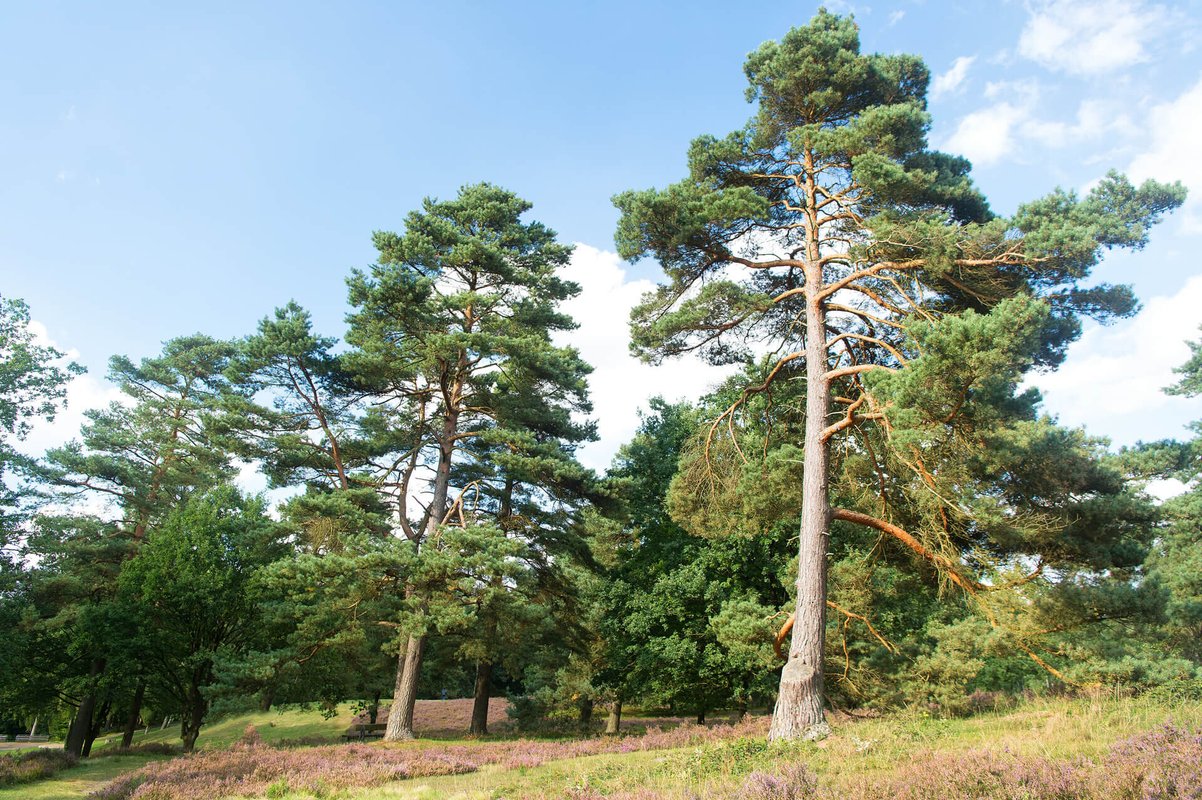 Компания Удача-Ваша дача на Пресненской набережной 