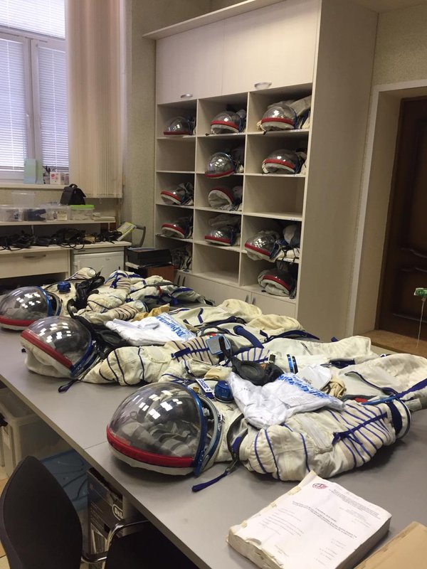 Компания Скарабей