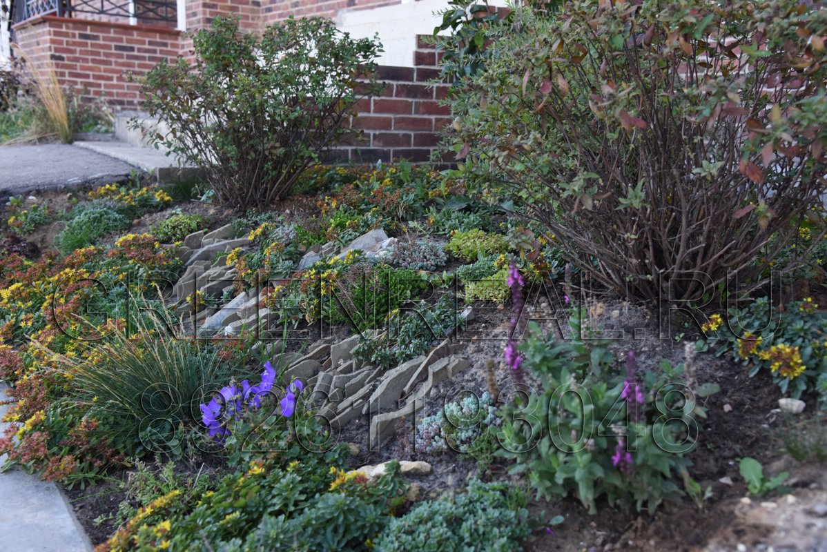 Компания Гринреал 