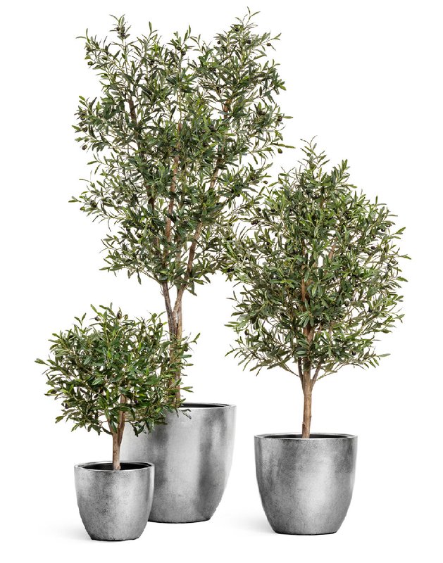 Компания искусственных растений, деревьев и цветов Treez Collection