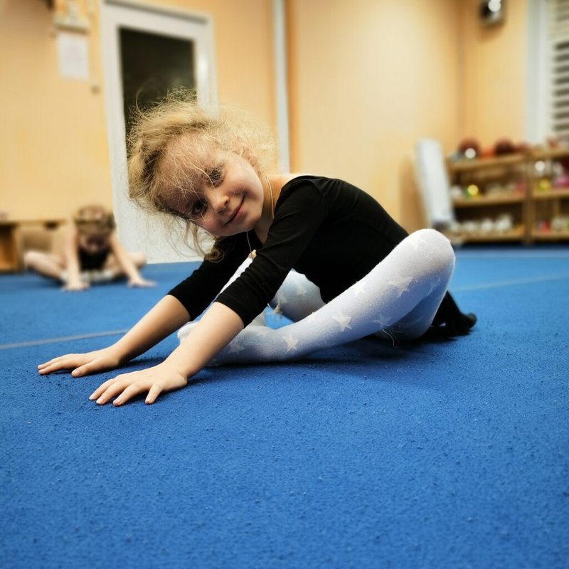 Спортивный клуб художественной гимнастики Attitude на метро Раменки