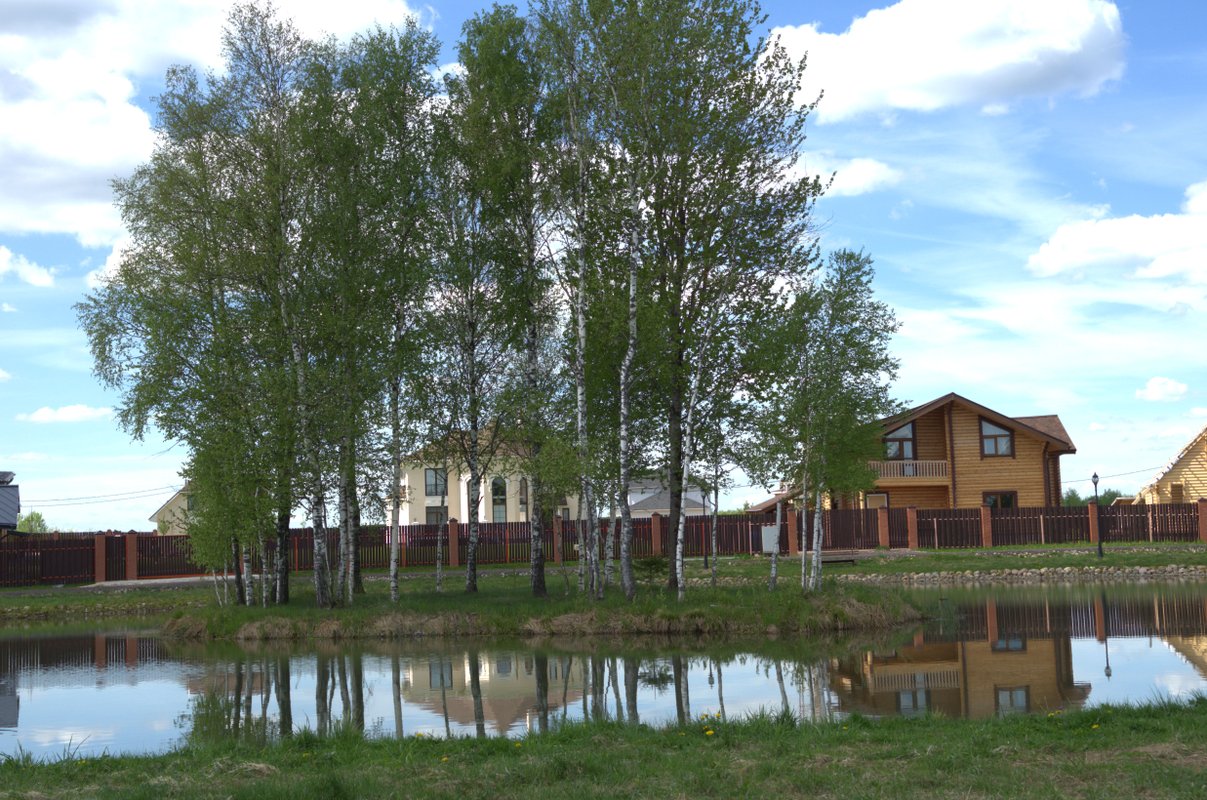 Компания Октава