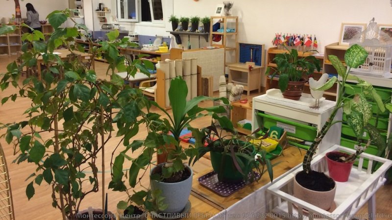 Монтессори-центр Счастливый Ребенок на улице Удальцова