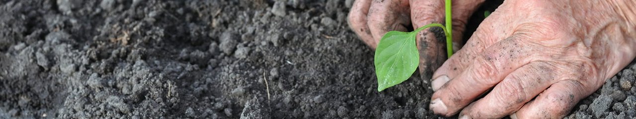 Компания Грунтовоз