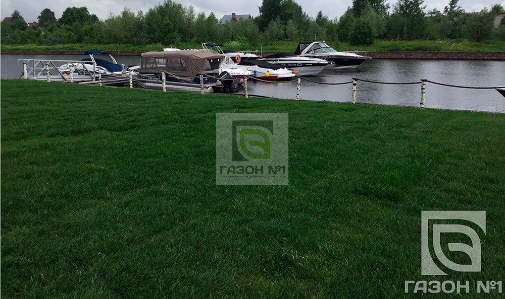 Компания по продаже рулонных газонов Газон № 1 на Лесной улице