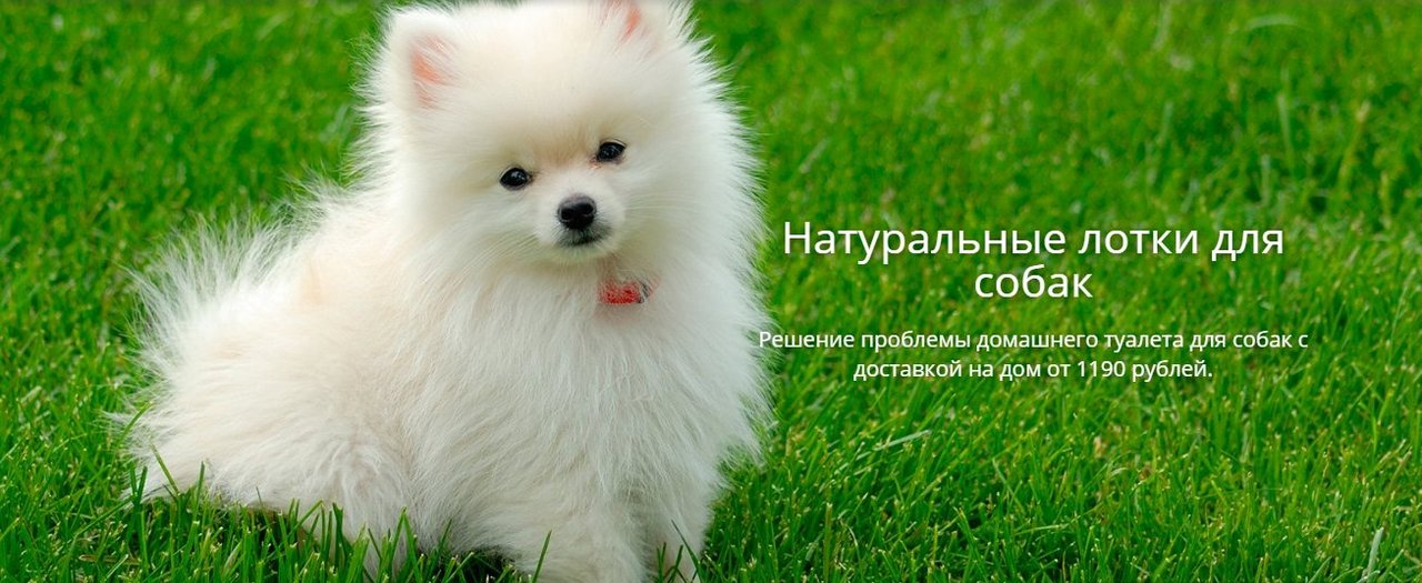 Интернет-магазин Зоодружок на Славянском бульваре