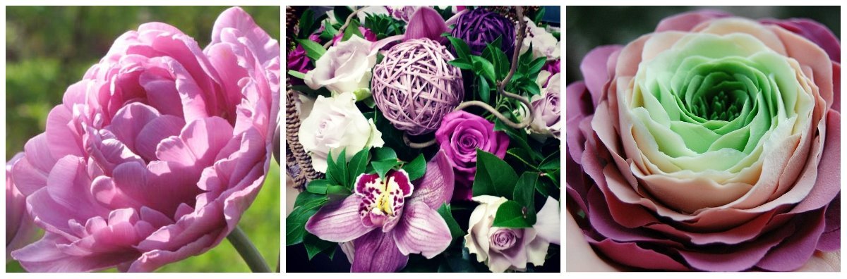 Магазин цветов и подарков Роза Паллна на Ботанической улице