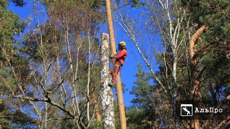 ИП Фирюлин М.Е.