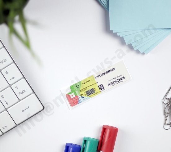 Компания Sws-ch.com