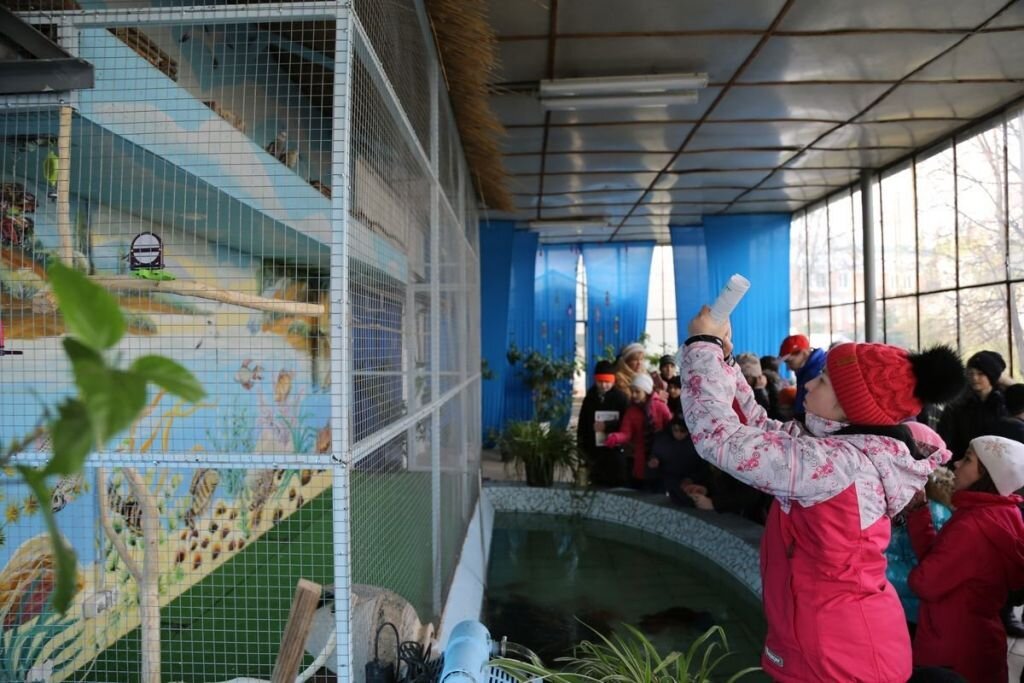 Специальная коррекционная общеобразовательная школа-интернат № 108 VIII вида для детей с нарушением развития интеллекта на улице Архитектора Власова