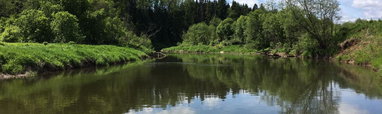 Компания по продаже земельных участков Тихие Луга на улице Докукина