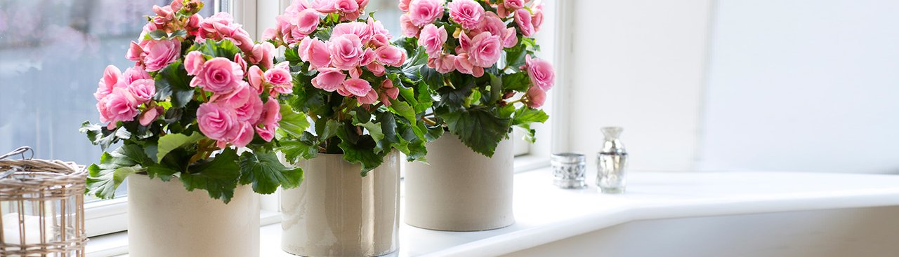 Салон цветов BMF-style