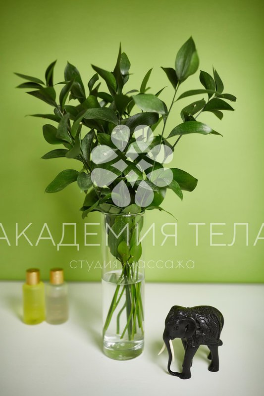 Массажный салон Академия тела на улице Берзарина