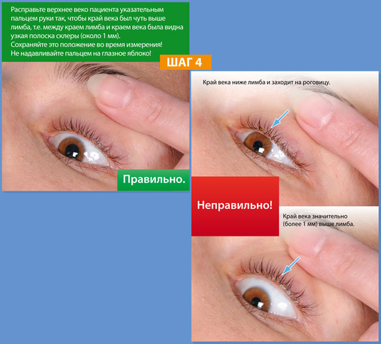 Оптовая фирма Авеа