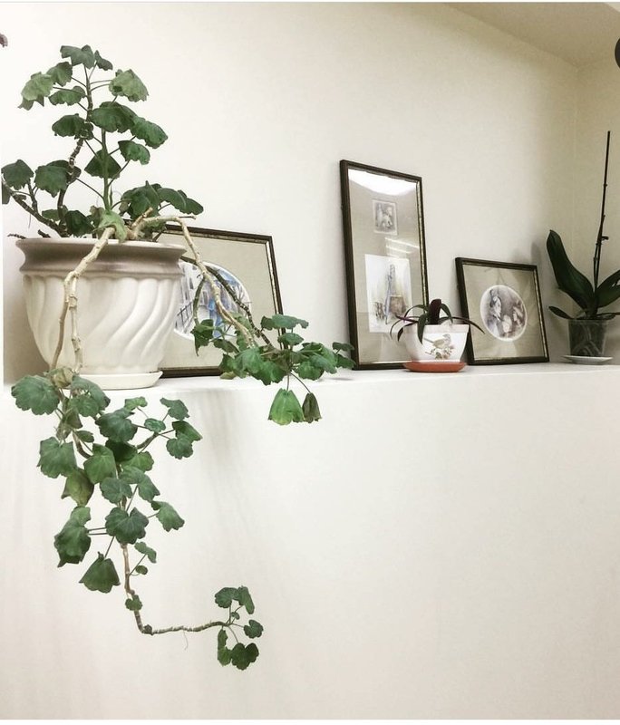 Академия красоты Selena на метро Кропоткинская