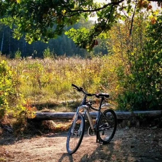 Пункт проката лыж и велосипедов Ski&Bike в парке Лосиный остров