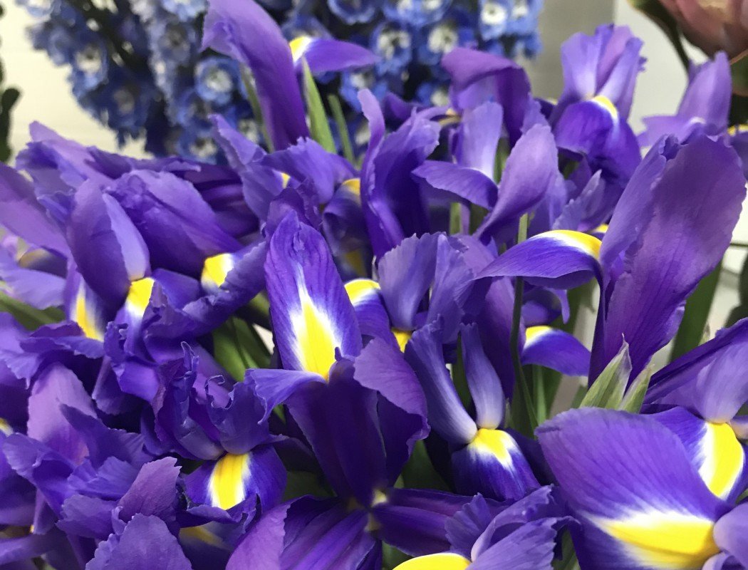 Флористический салон Цветы Москвы на метро Бунинская аллея