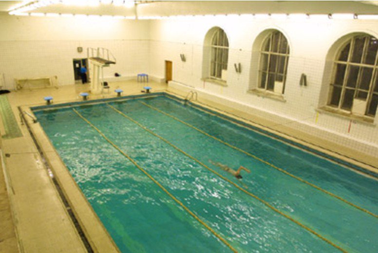 Парк МГУ на Ленинских горах